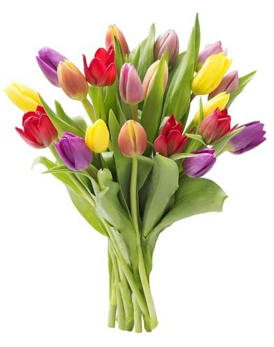 KaBloom Assorted Tulip Bouquet: $54.38