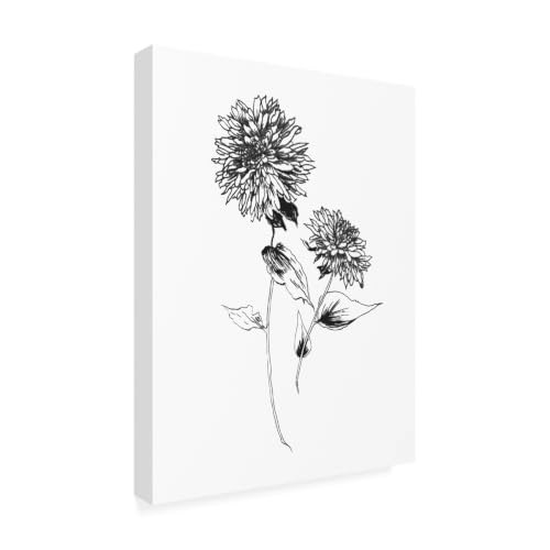 Trademark Fine Art Sketchbook Flowers on White IV Canvas Art: $44.80 Trademark Fine Art Sketchbook Flowers on White IV Canvas Art: $44.80