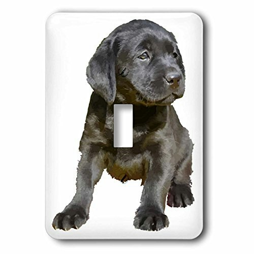 3dRose Black Labrador Puppy Toggle Switch: $14.19 3dRose Black Labrador Puppy Toggle Switch: $14.19