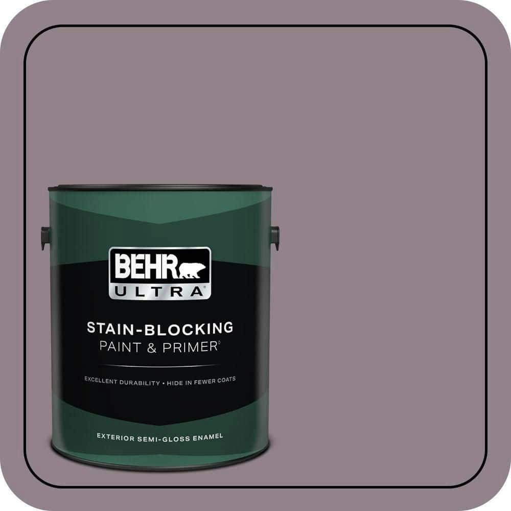 Behr Gothic Purple Semi-Gloss Exterior Paint & Primer 1-Gallon: $61.98 Behr Gothic Purple Semi-Gloss Exterior Paint & Primer 1-Gallon: $61.98