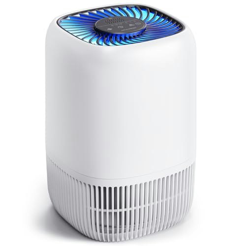 Voopnu Air Purifier: $26.98
