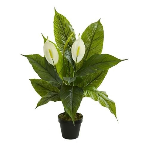 Nearly Natural 26-Inch Artificial Spathiphyllum Plant: $28.99 Nearly Natural 26-Inch Artificial Spathiphyllum Plant: $28.99