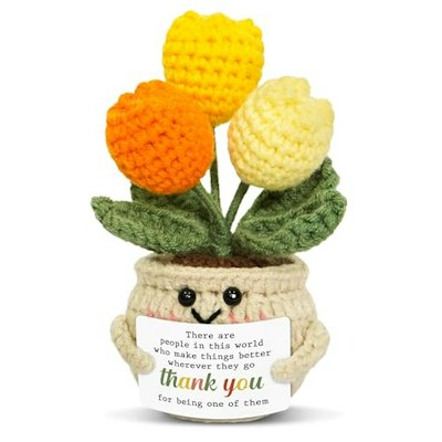 Oassie Crochet Tulip Emotional Support Gift for $10 + free shipping w/ Prime