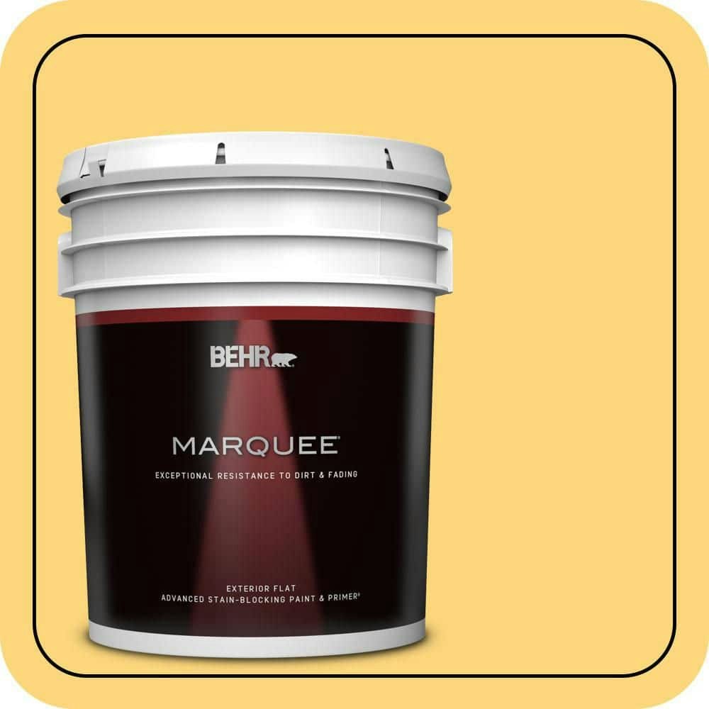 Lemon Burst Flat Exterior Paint and Primer 5-Gallon: $315 Lemon Burst Flat Exterior Paint and Primer 5-Gallon: $315