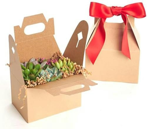 Shop Succulents Mini Succulent Plant 6-Pack: $21.55 Shop Succulents Mini Succulent Plant 6-Pack: $21.55