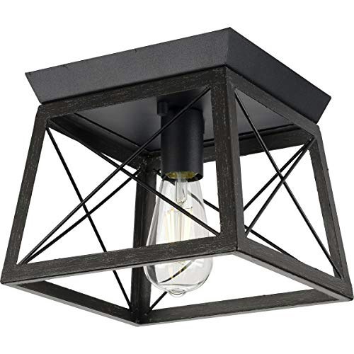 Progress Lighting Briarwood 9.5-Inch 1-Light Flush Mount Light: $0 Progress Lighting Briarwood 9.5-Inch 1-Light Flush Mount Light: $0