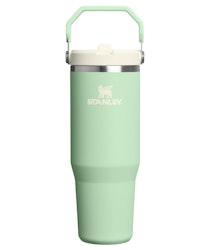 Stanley IceFlow 2.0 Flip Straw 30-oz. Tumbler for $17 w/ Prime + free shipping