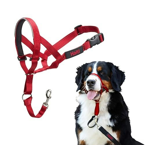 Halti Size 4 Dog Headcollar: $14.80 Halti Size 4 Dog Headcollar: $14.80