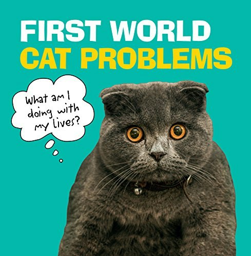 First World Cat Problems: What Am I Doing with My Lives?: $11.48 First World Cat Problems: What Am I Doing with My Lives?: $11.48