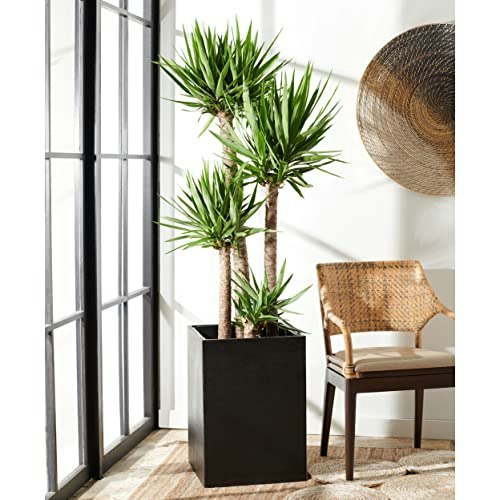 Safavieh Kendri Concrete Outdoor Planter: $165.29 Safavieh Kendri Concrete Outdoor Planter: $165.29
