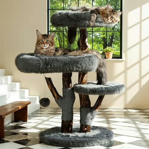 Aesthetic Cat Tree for Large Cats: $189.99 Aesthetic Cat Tree for Large Cats: $189.99
