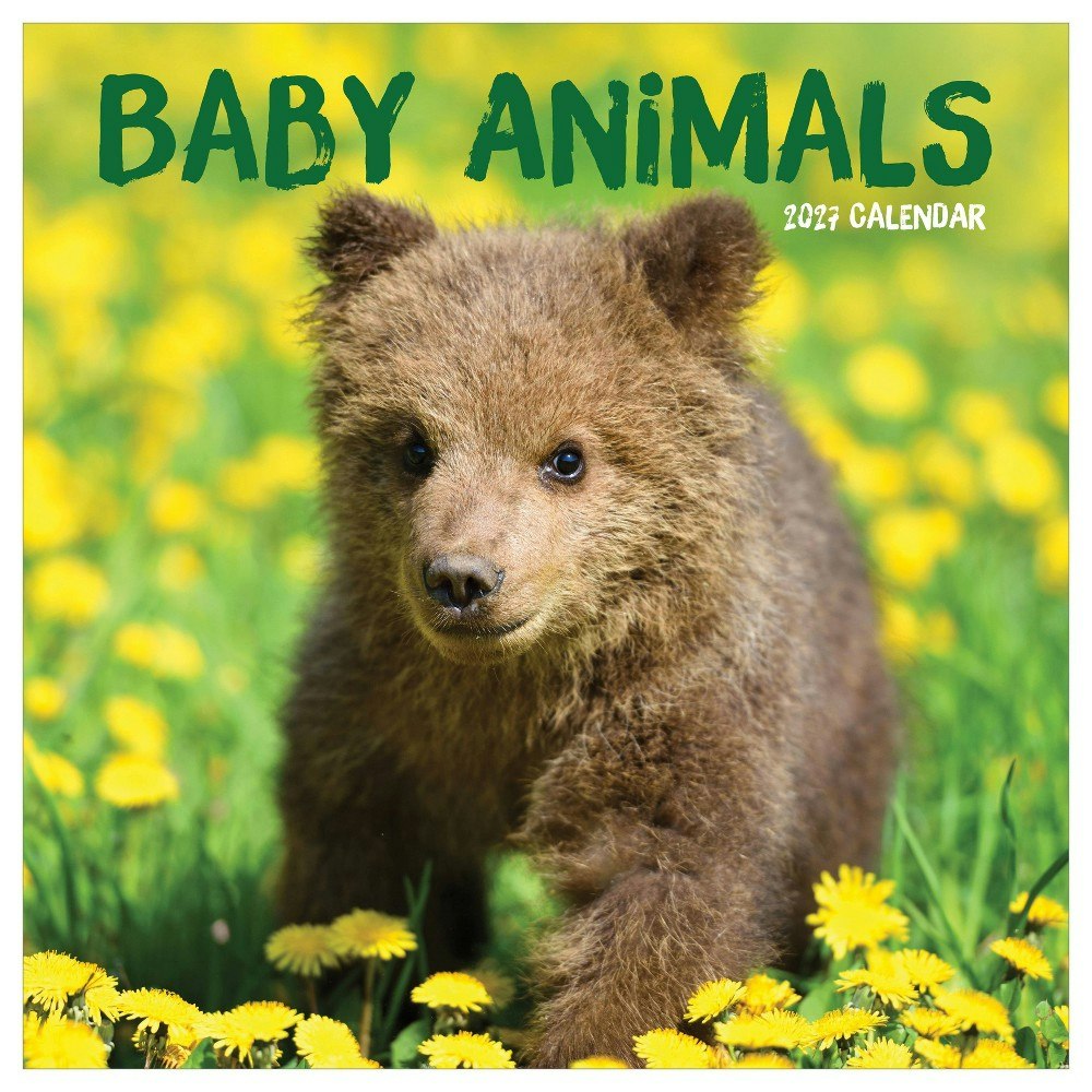 TF Publishing 2027 Baby Animals Wall Calendar: $16.99