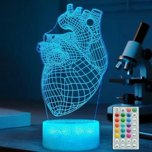 Posshe Heart Anatomy 3D LED Night Light: $12.79 Posshe Heart Anatomy 3D LED Night Light: $12.79