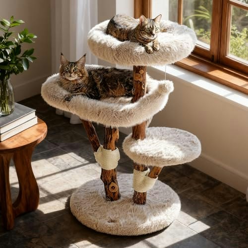 Sopapets Maine Coon Solid Wood Cat Tree: $189.99 Sopapets Maine Coon Solid Wood Cat Tree: $189.99