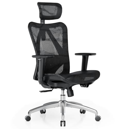 Sihoo M57 Ergonomic Mesh Office Chair: $179.99