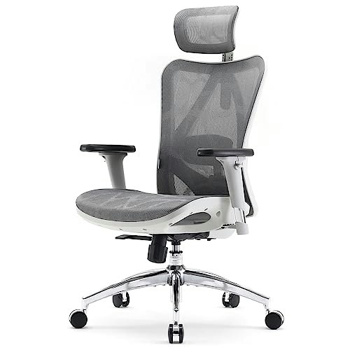 Sihoo M57 Ergonomic Mesh Office Chair: $179.99