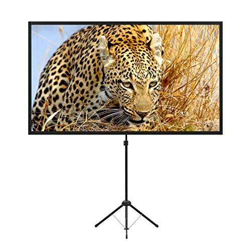 80-inch Portable Projector Screen with Stand: $67.19