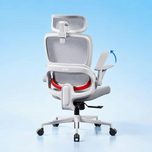 Sihoo B100 SE Ergonomic Mesh Office Chair: $159.99 Sihoo B100 SE Ergonomic Mesh Office Chair: $159.99