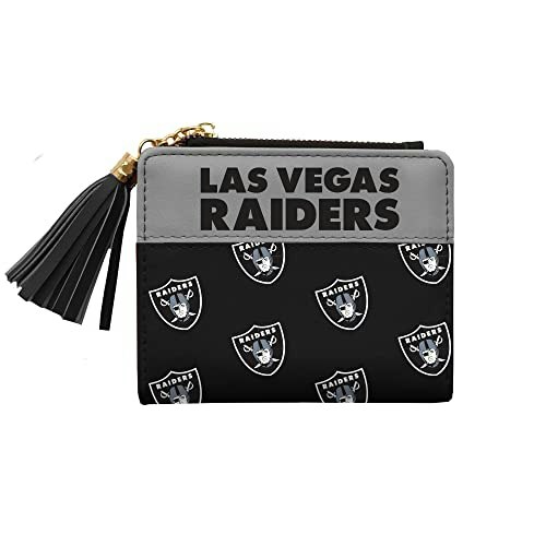 Littlearth NFL Las Vegas Raiders Mini Organizer: $8 Littlearth NFL Las Vegas Raiders Mini Organizer: $8