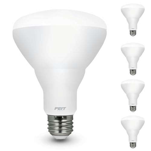 Feit Electric 100W-Equivalent Dimmable BR30 LED Light Bulbs 4-Pack: $17.75 Feit Electric 100W-Equivalent Dimmable BR30 LED Light Bulbs 4-Pack: $17.75