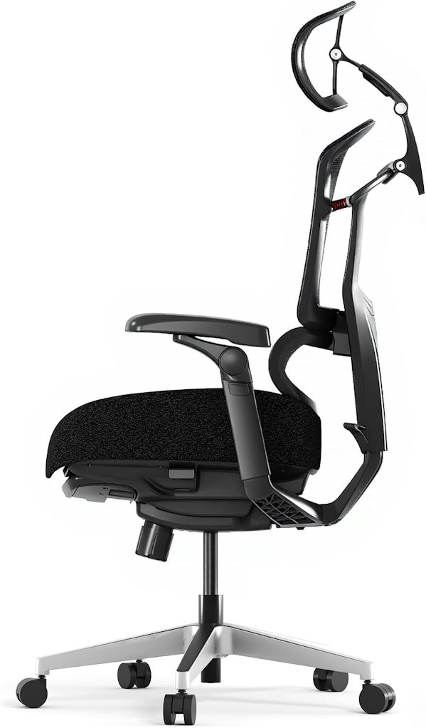 Flexispot ErgoX Premium Ergonomic Office Chair: $339.14