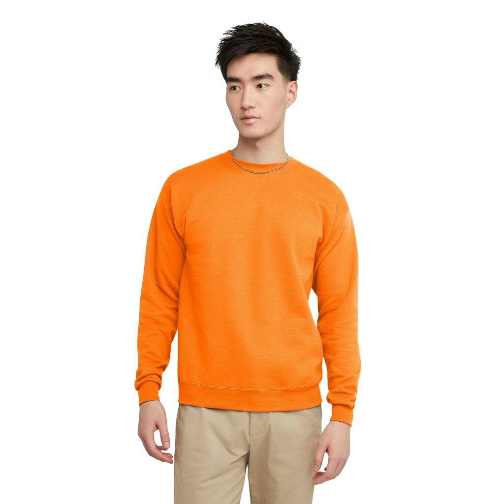 Hanes Men's EcoSmart Fleece Crewneck Sweatshirt: $6.41 w/ Prime