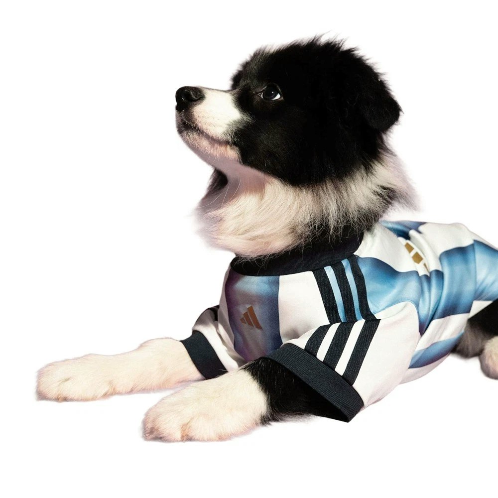 adidas Pet Jersey: $20