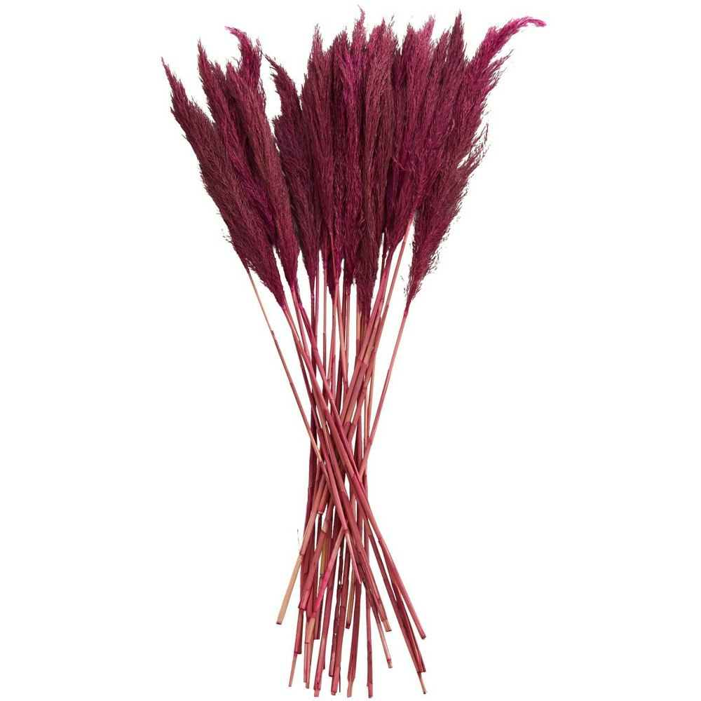 Olivia & May 35-Inch Dried Pink Pampas Grass: $18.07 Olivia & May 35-Inch Dried Pink Pampas Grass: $18.07