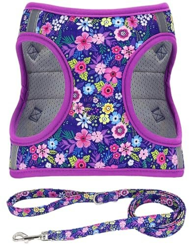 Moonpet Step-in Floral Dog Harness and Leash Set: $11.99