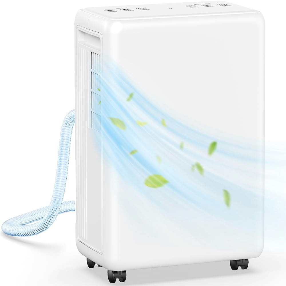 30-Pint Basement Dehumidifier: $119.99 30-Pint Basement Dehumidifier: $119.99