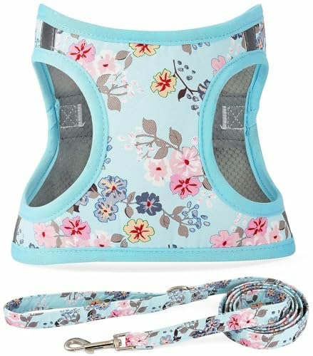 Moonpet Step-in Floral Dog Harness and Leash Set: $13.59