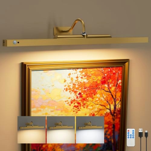 24-inch Rechargeable Motion Sensor Picture Light: $31.34 24-inch Rechargeable Motion Sensor Picture Light: $31.34