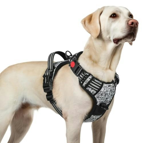 Rabbitgoo Dog Harness: $19.98