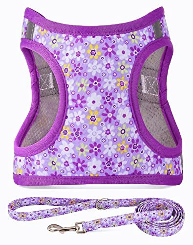 Moonpet Step-in Floral Dog Harness and Leash Set: $12.79 Moonpet Step-in Floral Dog Harness and Leash Set: $12.79
