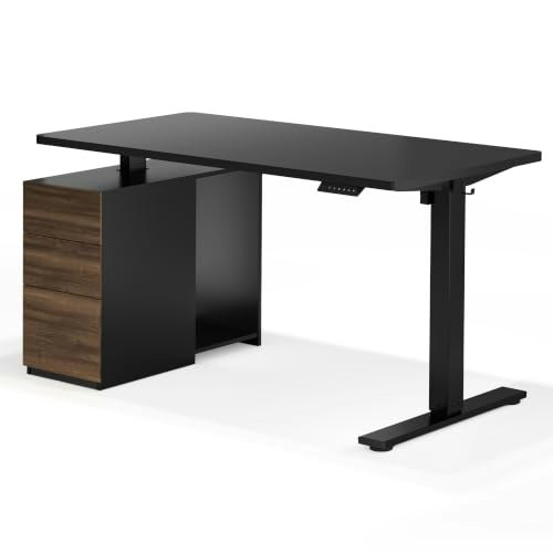 Flexispot EN2 55"x28" Standing Desk with Storage Cabinet: $279.99 Flexispot EN2 55"x28" Standing Desk with Storage Cabinet: $279.99