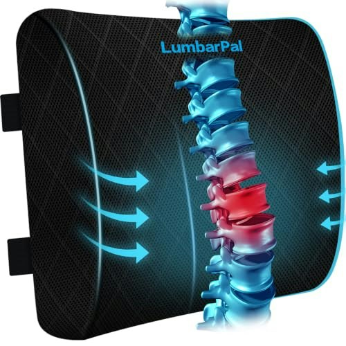 LumbarPal Memory Foam Lumbar Support Pillow: $18.04 LumbarPal Memory Foam Lumbar Support Pillow: $18.04