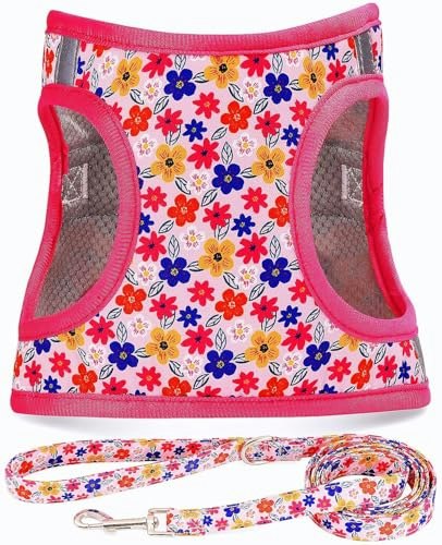 Moonpet Step-in Dog Harness and Leash Set: $11.19 Moonpet Step-in Dog Harness and Leash Set: $11.19