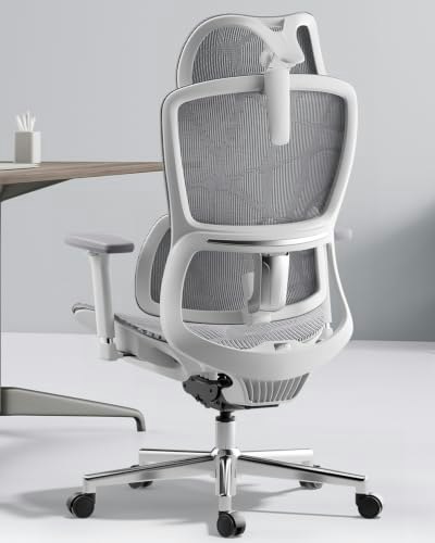 Hbada E2 Ergonomic Office Chair: $227.05
