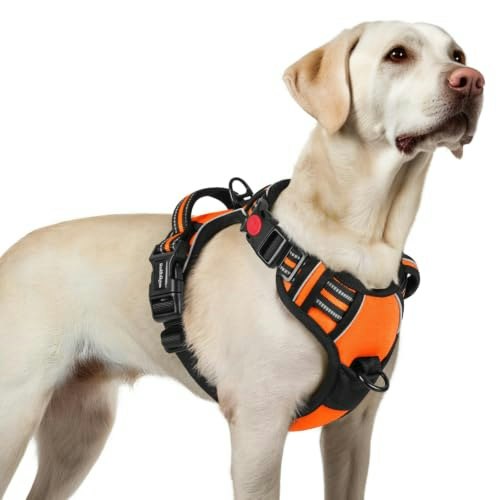 Rabbitgoo Dog Harness: $18.55 Rabbitgoo Dog Harness: $18.55