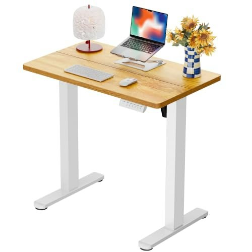 ErGear 32" x 19" Electric Standing Desk: $94.99 ErGear 32" x 19" Electric Standing Desk: $94.99