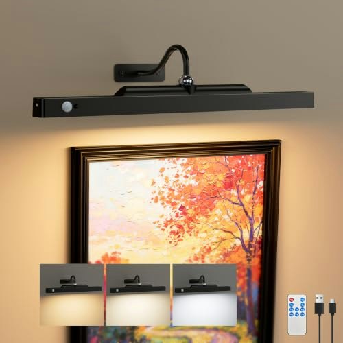 16-Inch Motion Sensor Wireless Picture Light: $16.79