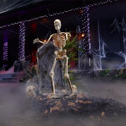 Home Accents Holiday 3ft LED Skelly Halloween Decoration for $20 + free shipping