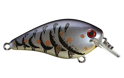 Strike King KVD 2.5 Squarebill Fishing Lure: $4.10 Strike King KVD 2.5 Squarebill Fishing Lure: $4.10