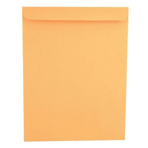 Universal 10" x 13" Catalog Envelopes 250-Pack: $28.24