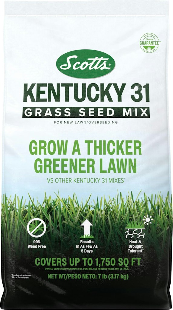 Scotts Kentucky 31 Grass Seed Mix 7-lb. Bag: $15