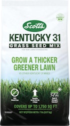 Scotts Kentucky 31 Grass Seed Mix 7-lb. Bag for $15 + free shipping w/ Prime