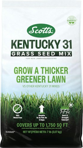 Scotts Kentucky 31 Grass Seed Mix 7-lb. Bag for $15 + free shipping w/ Prime