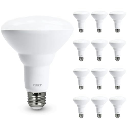 Feit Electric BR30 Dimmable LED Light Bulb 12-Pack: $17.92 Feit Electric BR30 Dimmable LED Light Bulb 12-Pack: $17.92