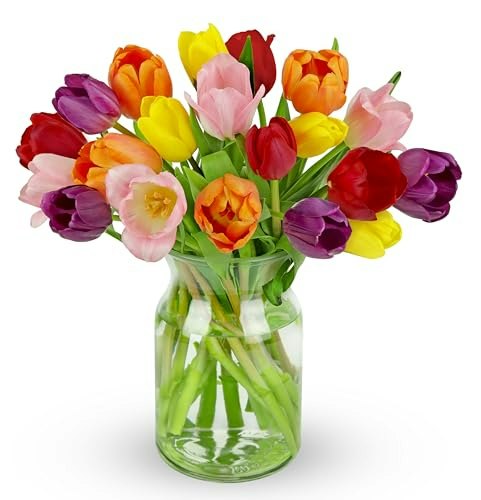 Benchmark Bouquets Rainbow Tulips 20-Stem Bouquet with Glass Vase: $49.73 Benchmark Bouquets Rainbow Tulips 20-Stem Bouquet with Glass Vase: $49.73