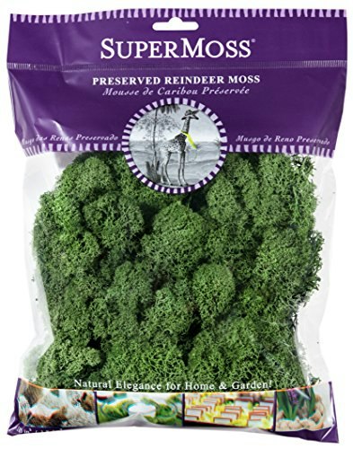 SuperMoss Preserved Reindeer Moss 4-oz. Bag: $14.95